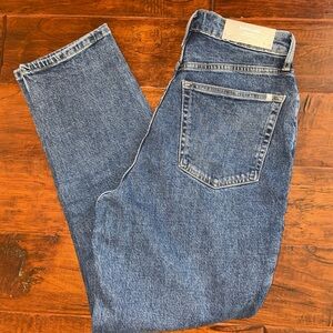 Everlane The Curvy Cheeky Straight Jean Organic Cotton Size 29 Regular HR NWT